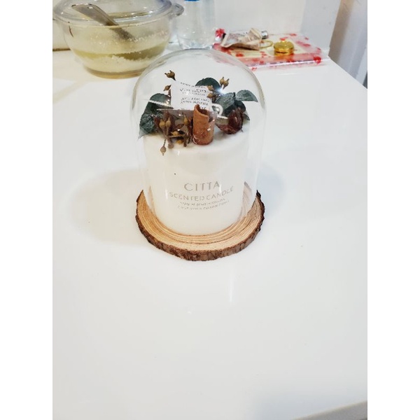 Com bo chụp thủy tinh và đế gỗ kích thước 12*9cm