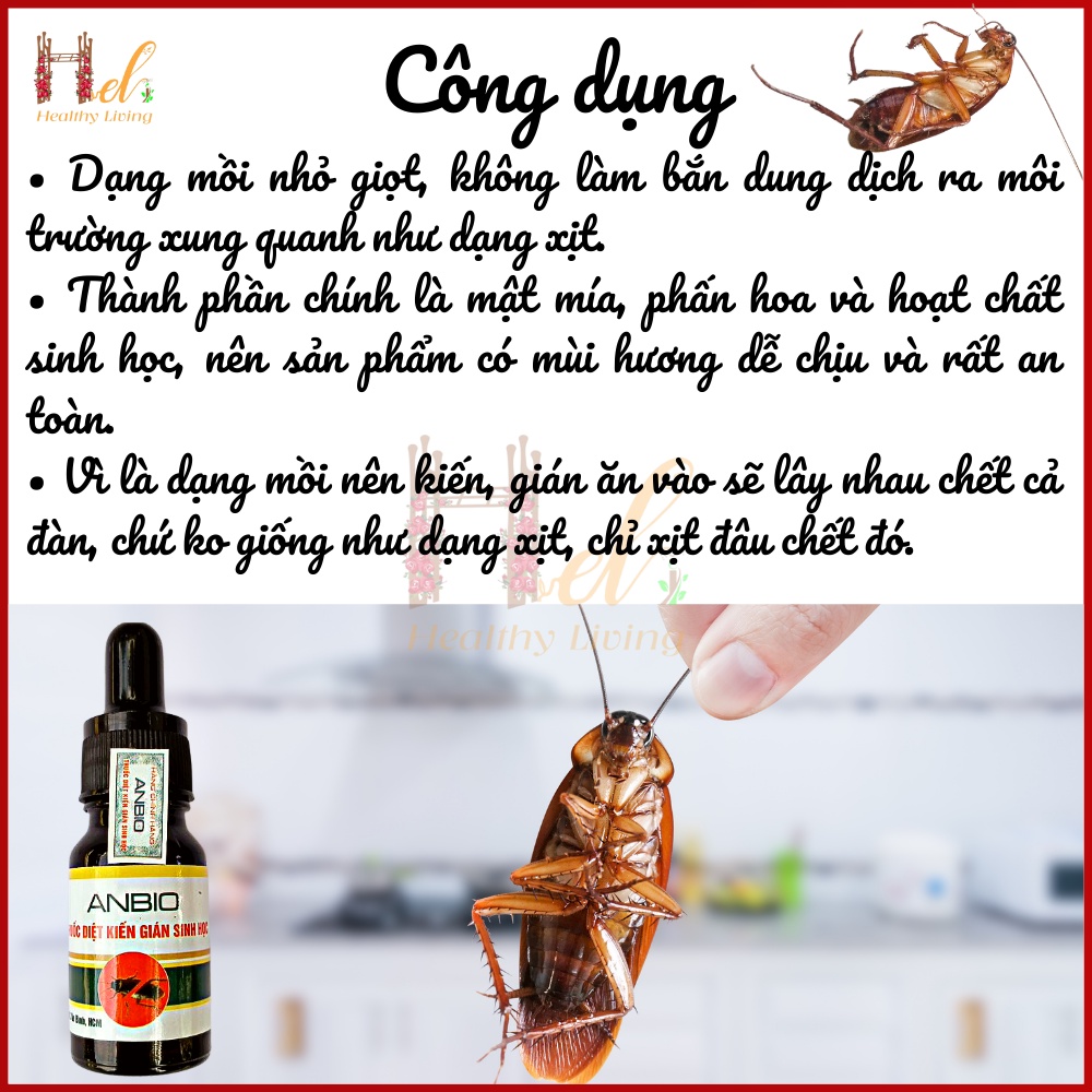Chế Phẩm Sinh Học Diệt Kiến, Diệt Gián ANBIO Hiệu Quả 100%