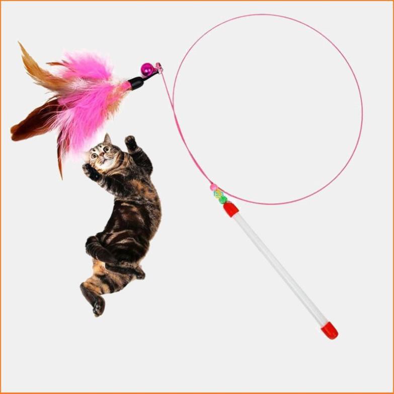 Hanpet.GV- Đồ Cho mèo chơi CẦN CÂU mèo (2 loại) đồ chơi cho mèo