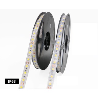 Dây Đèn Led Chống Nước IP68 Chip Led 5050 Bọc Silicon chất lượng cao