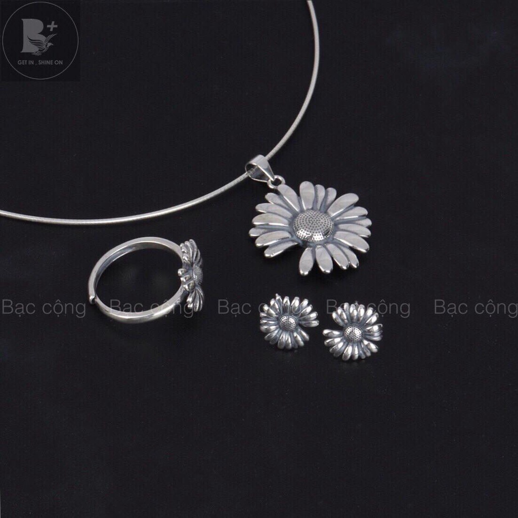 Bộ sản phẩm cúc họa mi cánh thưa