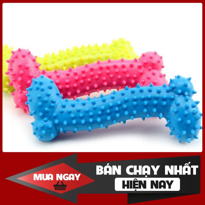 Đồ Chơi Cao Su Tự Nhiên Hình Xương Có Gai Luyện Tập Răng Cho Pet Cưng