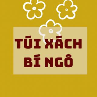 TÚI XÁCH BÍ NGÔ