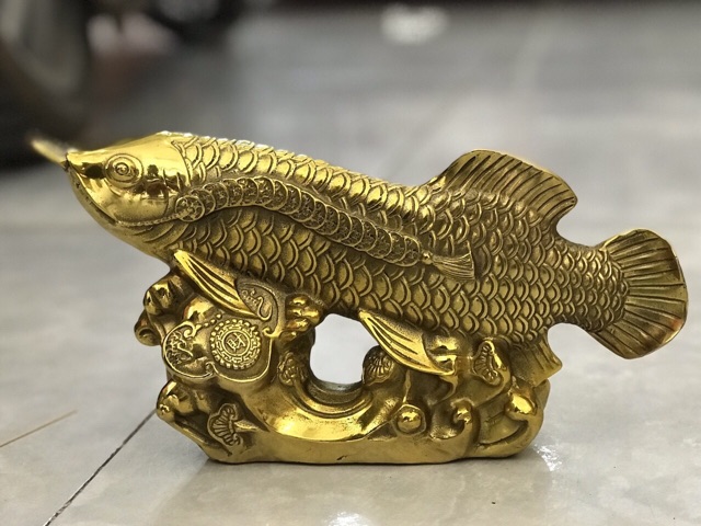 Cá Rồng Vàng