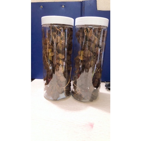 Nho khô nguyên cành nhập khẩu Úc 500g