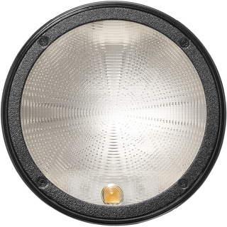 Đèn Flash Godox AD100 Pro