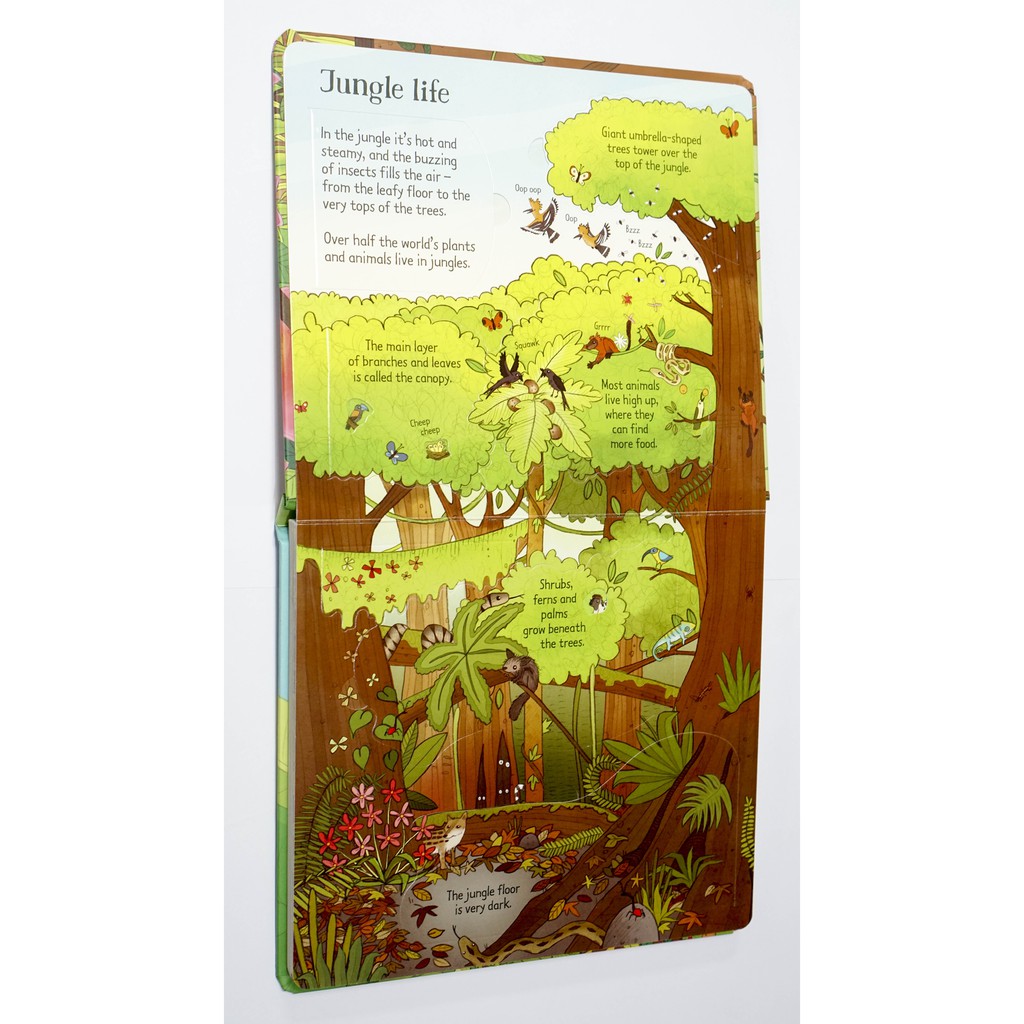 Sách lật mở Look Inside Jungle Usborne cho bé | WebRaoVat - webraovat.net.vn