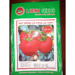 HẠT GIỐNG CÀ CHUA LAI 152F1 LUCKY