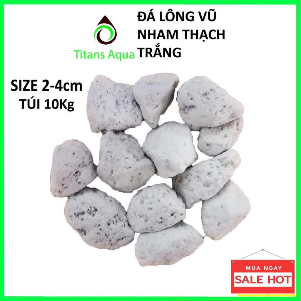 10Kg ĐÁ LÔNG VŨ - NHAM THẠCH TRẮNG SIZE TRUNG 2-4cm