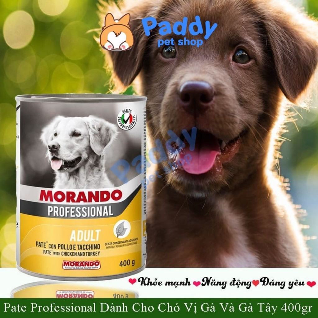 Pate Morando Miglior Cane Cho Chó Mọi Độ Tuổi (Lon 400g)