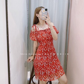 ĐẦM HOA NHÍ RỚT VAI