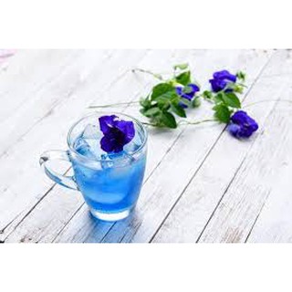 Hạt giống hoa đậu biếc