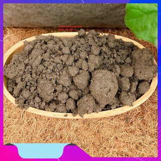 [hàng giá Vườn] đất thịt trồng cây 10kg