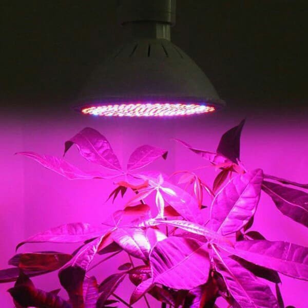 Bóng đèn LED trồng cây E27 26W 200 SMD cỡ lớn