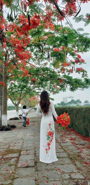 Vải áo dài hoa phượng