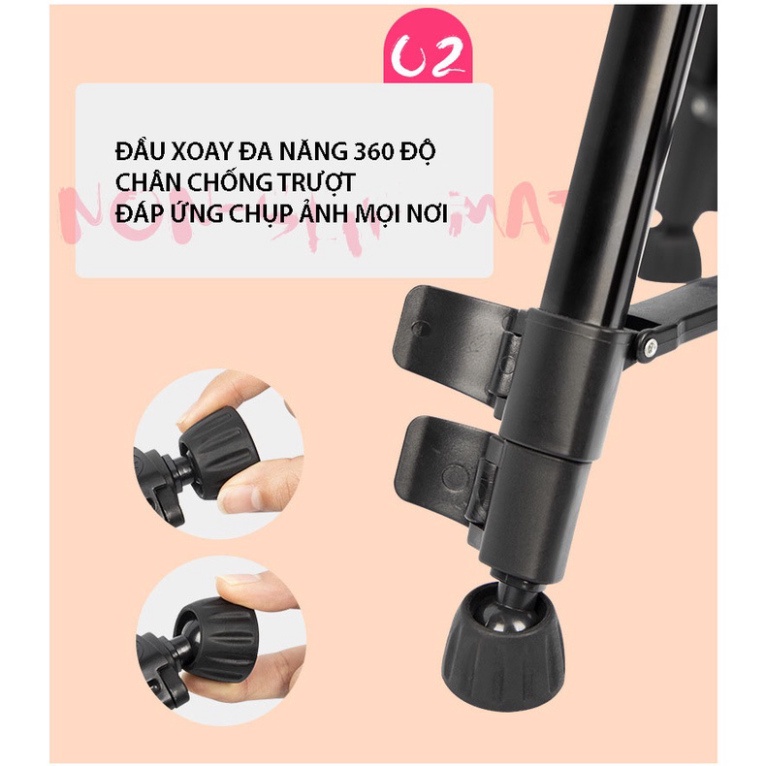 Gậy 3 Chân Máy Ảnh Chụp Hình Selfie Tự Sướng Tripod Floveme - 3366 cao 150cm Kèm Giá Đở Điện Thoại &amp; Máy Ảnh .