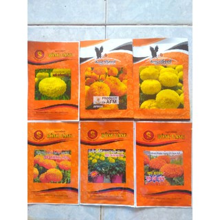 Hạt giống hoa vạn thọ Thái lai f1 (Rồng Vàng, Con Ó)