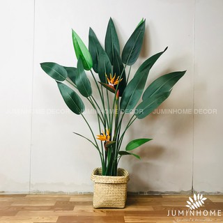 Giỏ cói Decor trang trí trồng Cây giả (Không bao gồm cây)