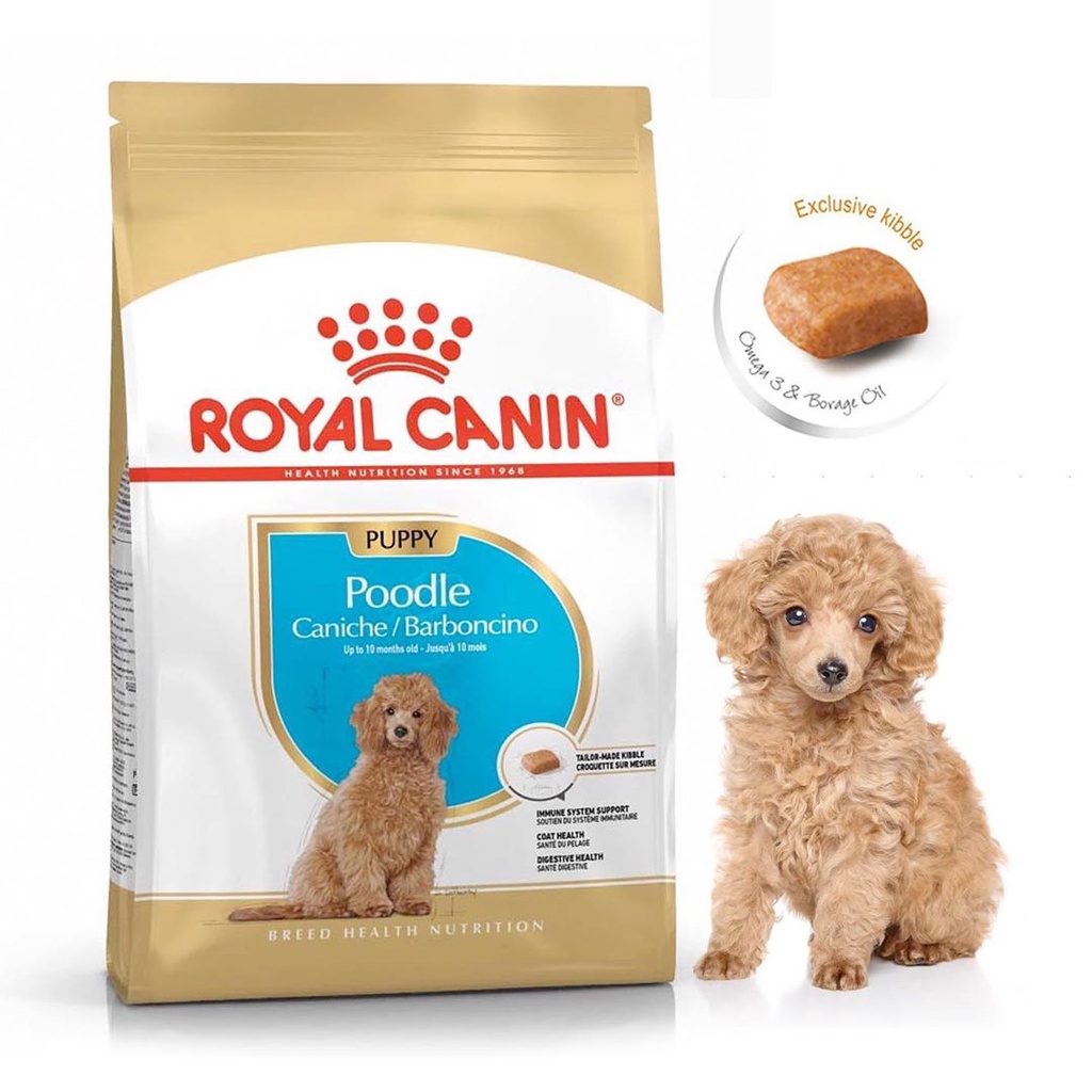 Royal Canin Poodle Puppy Thức Ăn Dành Riêng Cho Poodle Dưới 10 Tháng Tuổi