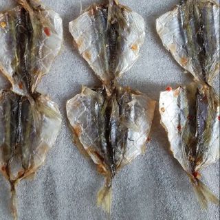 Khô cá Chỉ vàng loại 1 tẩm gia vị ít cay, gói 500g (cá biển Phan Rí Cửa), ảnh tự chụp