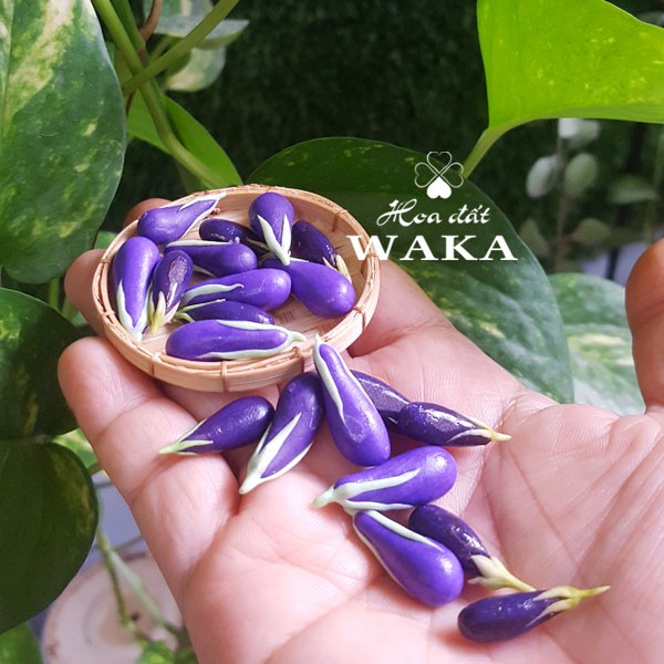 Mô hình Trái Cà Tím Mini- Rau Củ Quả Mini 1/12