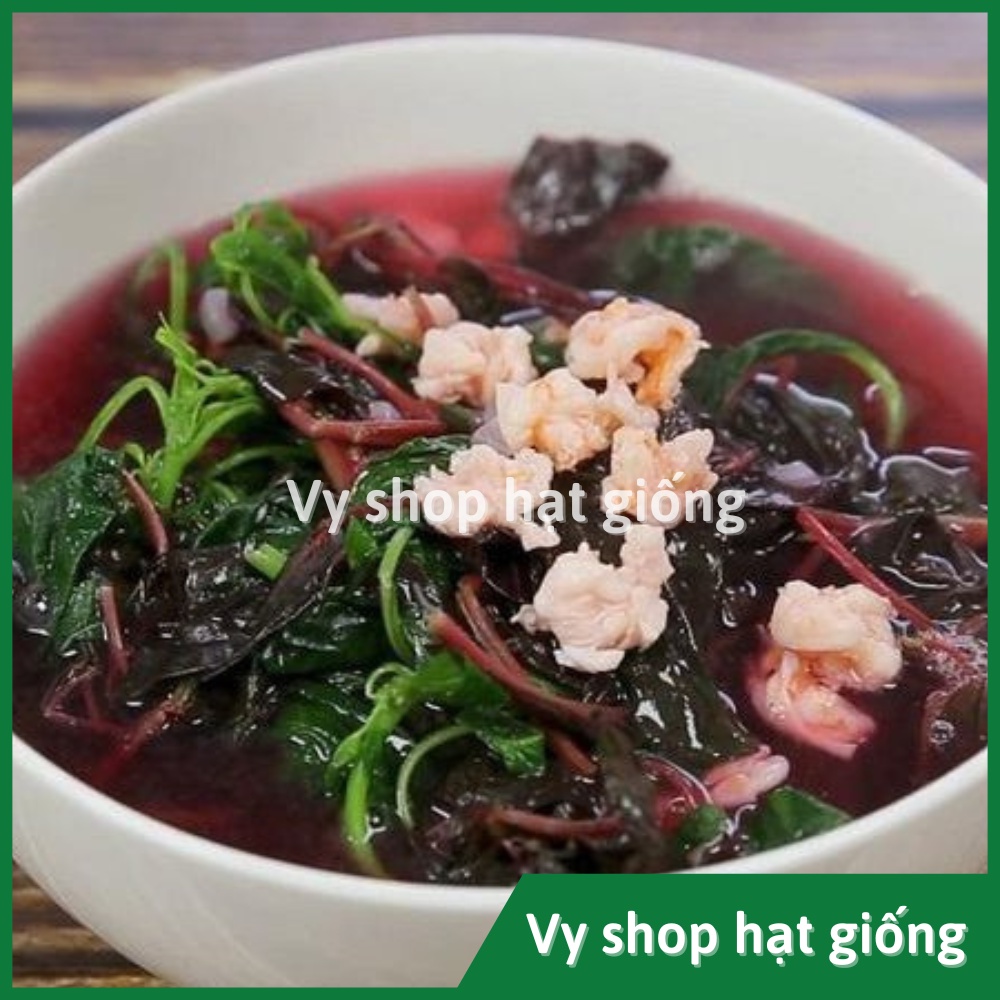 Hạt giống rau dền tía  lá to Thái Lan gói 13.300 hạt
