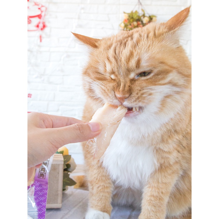 Ức Gà Ăn Liền Inaba Ciao Tẩm Ướp 5 vị Sò,Cua,Cá,Hải Sản,Gà Hầm