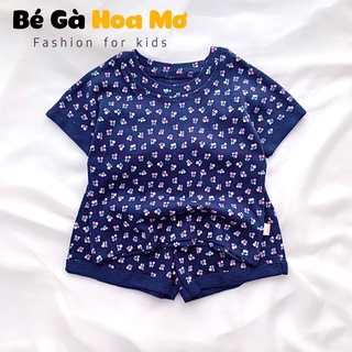 Bộ cộc BERNIE hàn