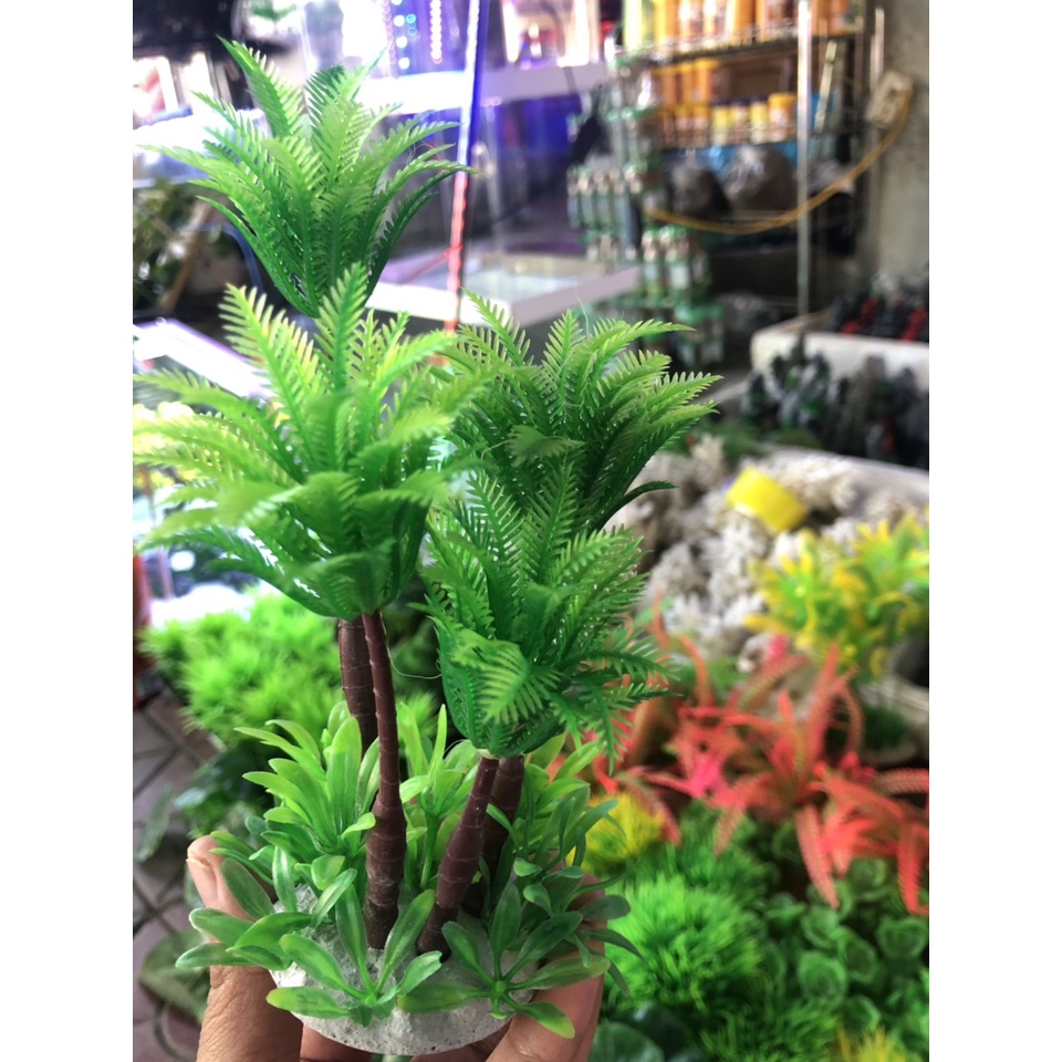 Cây dừa nhựa trang trí bể cá, bể cảnh, bể non bộ, bể thủy sinh