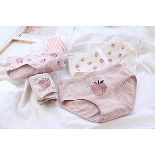 Quần cotton quả dâu cao cấp 🍓🍓🍓
