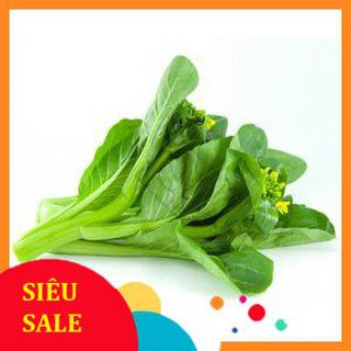 20g Hạt giống Cải ngồng