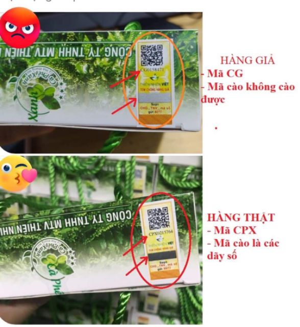 Combo 2 HỘP CÀ PHÊ XANH KHÁNG MỠ THIÊN NHIÊN VIỆT | BigBuy360 - bigbuy360.vn