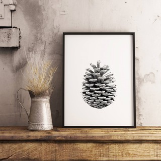 Tranh Canvas trang trí quả thông.