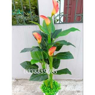 Cây giả - Cây hoa rum cao su 1,5m derco siêu đẹp