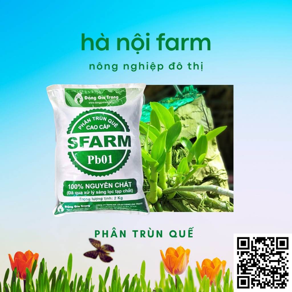 2kg Phân Trùn Quế SFARM  Dạng Bột  Cao Cấp Chuyên Dùng Cho Rau Sạch, Hoa VÀ Cây Cảnh
