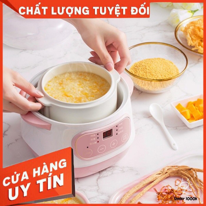 Nồi Kho Cá - Hầm Xương - Nấu Cháo Chậm Cách Thủy