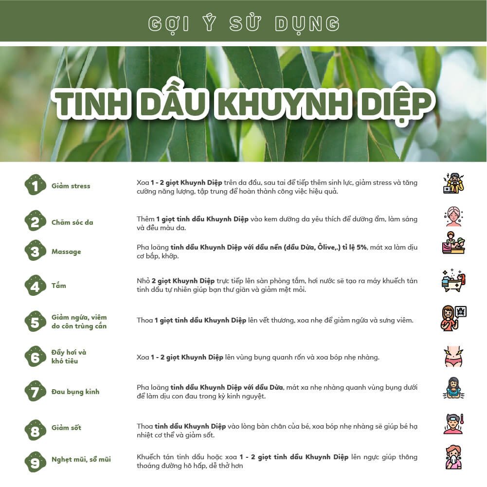 Tinh dầu Khuynh Diệp Haeva Cao Cấp, 100% Thiên Nhiên, giúp giải cảm, tốt cho hệ hô hấp và mẹ bầu,Chai 10ml/30ml/100ml