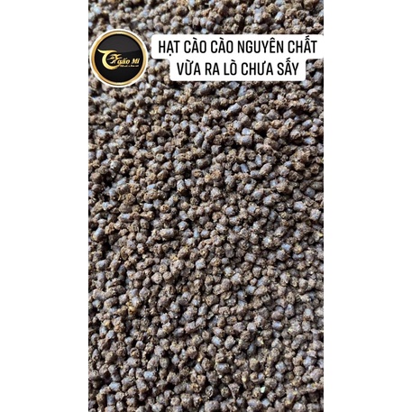 HẠT CÀO CÀO NGUYÊN CHẤT TUẤN MI  dành cho MI- MÀO- CHOÈ- KHƯỚU