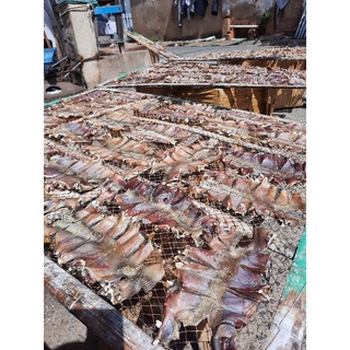 500GR CÁ ĐUỐI BIỂN KHÔ PHAN THIẾT(PHƠI MỘC)