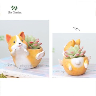 Chậu hình thú trồng cây, chó Corgi thiên thần - CTK