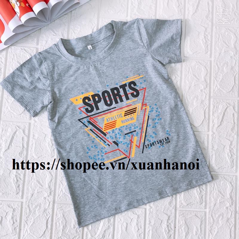 Combo 2 Áo bé trai cộc tay in 3D Sport Cotton 100% size Nhí