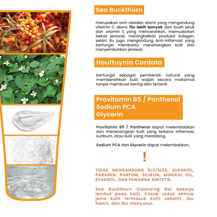 Tinh Chất Làm Sạch Và Dưỡng Da Kleveru Sea Buckthorn | BigBuy360 - bigbuy360.vn