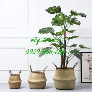 Combo bộ giỏ cói đựng đồ, trồng cây