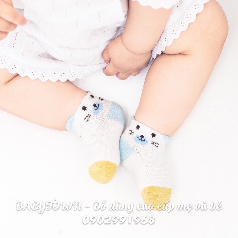 Set 5/4 đôi vớ/tất thun cotton Ponykids/Hug elephant/Nemobaby cho bé