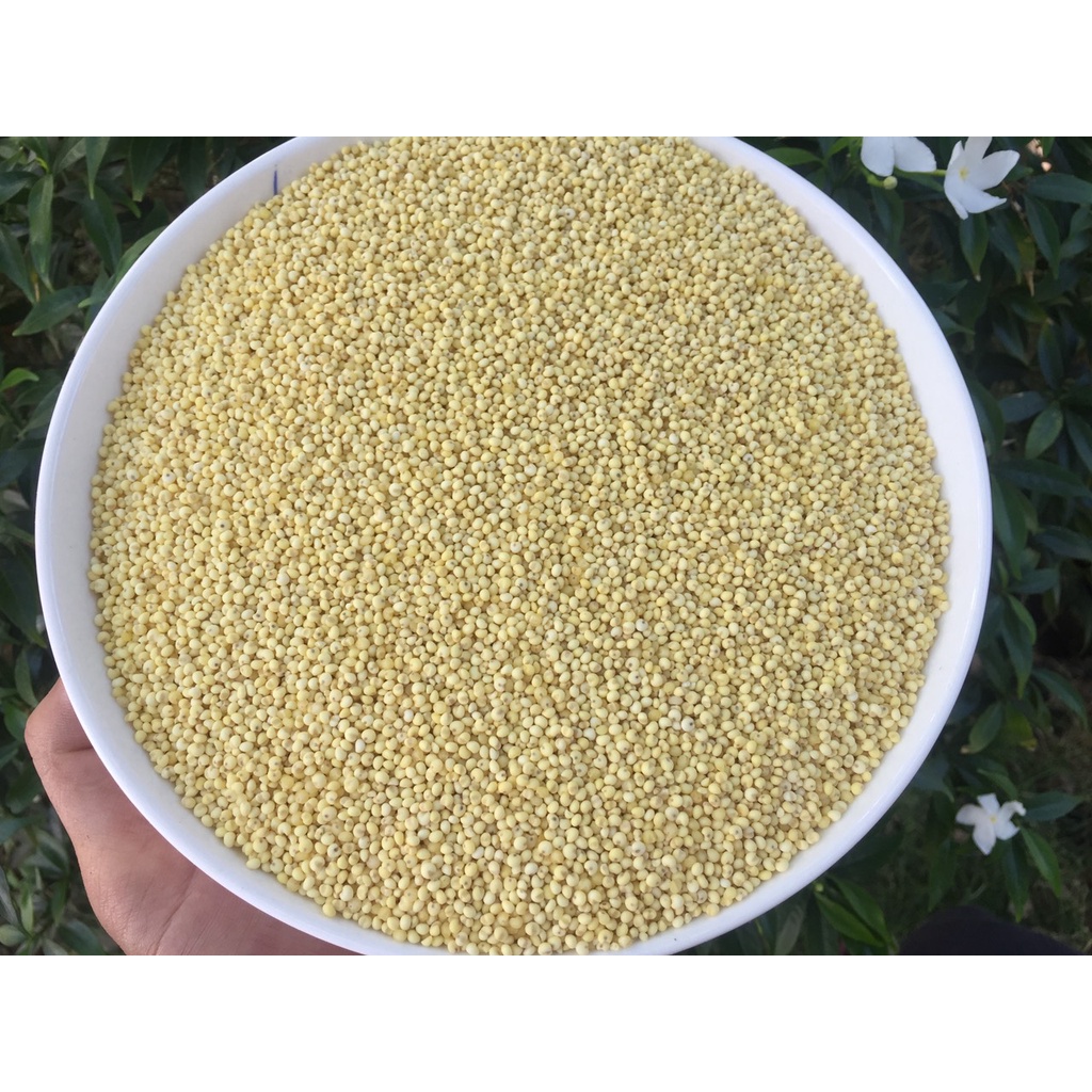 Kê nếp vàng tách vỏ bị 1kg dành cho chim