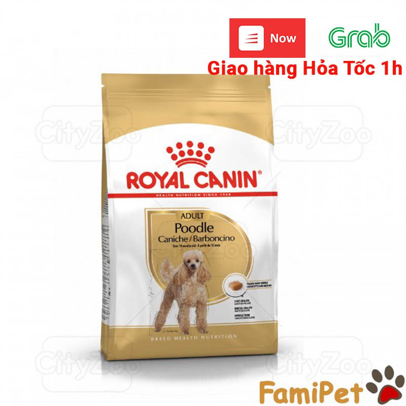 Hạt Thức Ăn Khô Royal Canin Cho Chó Poodle Trưởng Thành 1,5kg – Royal Canin Poodle Adult