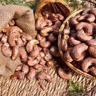 ĐIỀU A LỤA CỒ RANG MUỐI BÌNH PHƯỚC LON 500GRAM