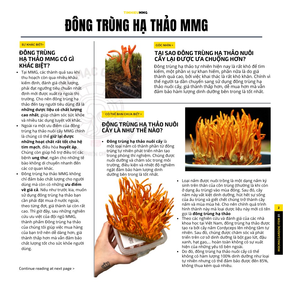 (25gr) Đông trùng hạ thảo khô sấy thăng hoa MMG | BigBuy360 - bigbuy360.vn