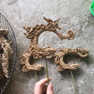 Móc tre đục