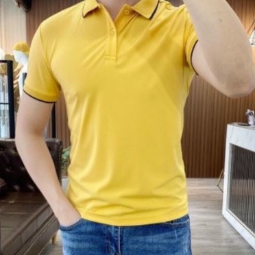 Áo Polo Nam Vải Cá Sấu Chất Cotton - Màu Vàng | BigBuy360 - bigbuy360.vn